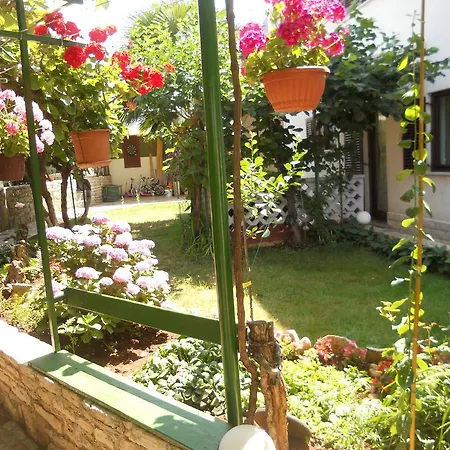 Anic Apartman