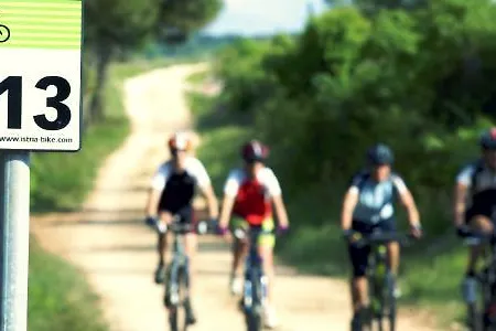 Anic Lägenhet Novigrad Istria