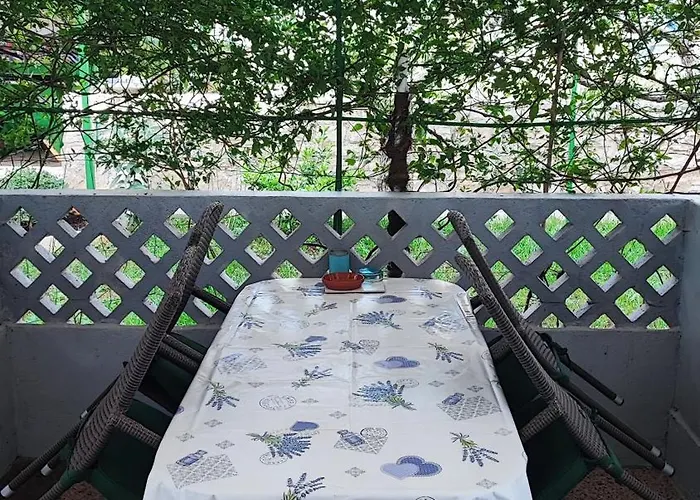 Anic Daire Novigrad Istria