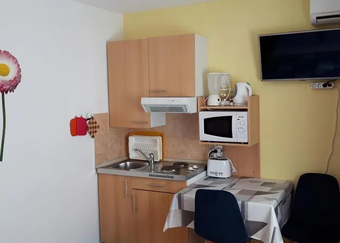 Anic * Novigrad Istria