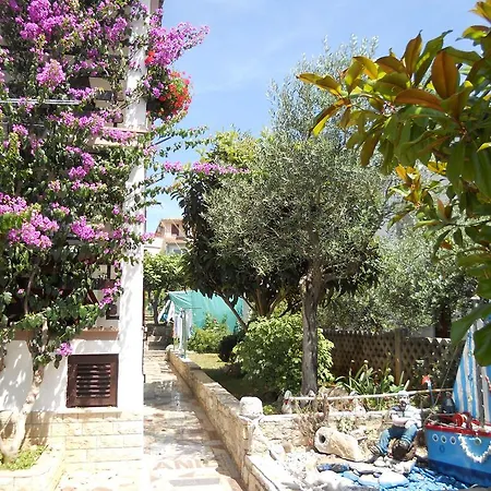 Anic * Novigrad Istria
